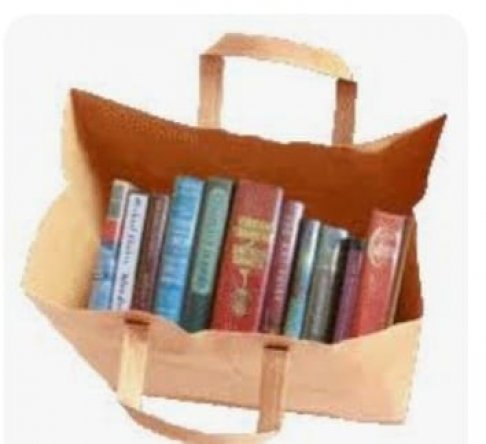 Friends of the Carolina Forest Library $5 Bag of Books Sale